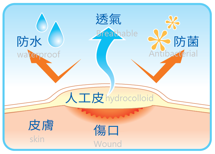 TRIDA IGIBAN Hydrocolloid Wound Dressing (EN)